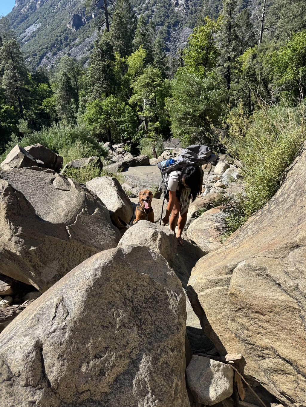 A person hiking up a rocky terrain with a backpacking gear, accompanied by a dog. They appear to be maneuvering over large boulders amidst a lush green environment with tall trees and a mountainous backdrop. The dog, named Josie, is looking up towards the camera with an expression that could be interpreted as contentment and excitement. They are on their way to a pool at Bridalveil Falls.