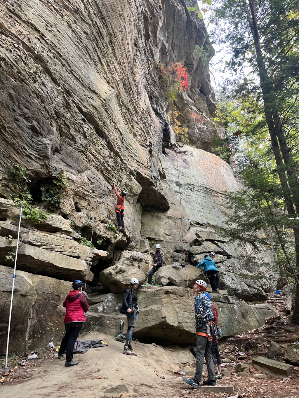 A group of individuals equipped with climbing gear are gathered around a tall rock face with ropes hanging down. The cliff is characterized by a mix of smooth and rugged surfaces, with visible striations and ledges providing footholds. One person is seen scaling the wall several feet above the ground, while others on the ground appear to be belaying or preparing for their turn to climb. Trees frame the scene, hinting at a forested location, with a hint of autumn foliage visible among the green leaves.