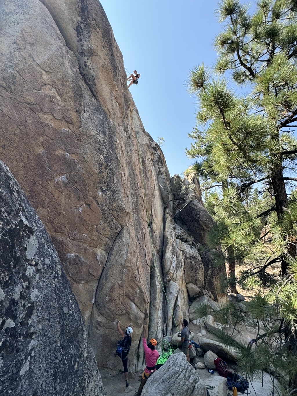 A group of rock climbers is engaged in various climbing activities around a formidable boulder that stands about 50 feet tall. At the base, two climbers are gearing up for the ascent, one in a white helmet and the other in an orange helmet, seemingly discussing the route or calling out 'beta' — advice or information on the climb. One climber seems to be pointing towards a challenging section known as the crux. Above them, another climber is rappelling down a different face of the boulder, their body braced against the rock as they descend. The scene is set amidst a clear day with pine trees framing the view, lending a sense of scale and natural beauty to the climbing environment.