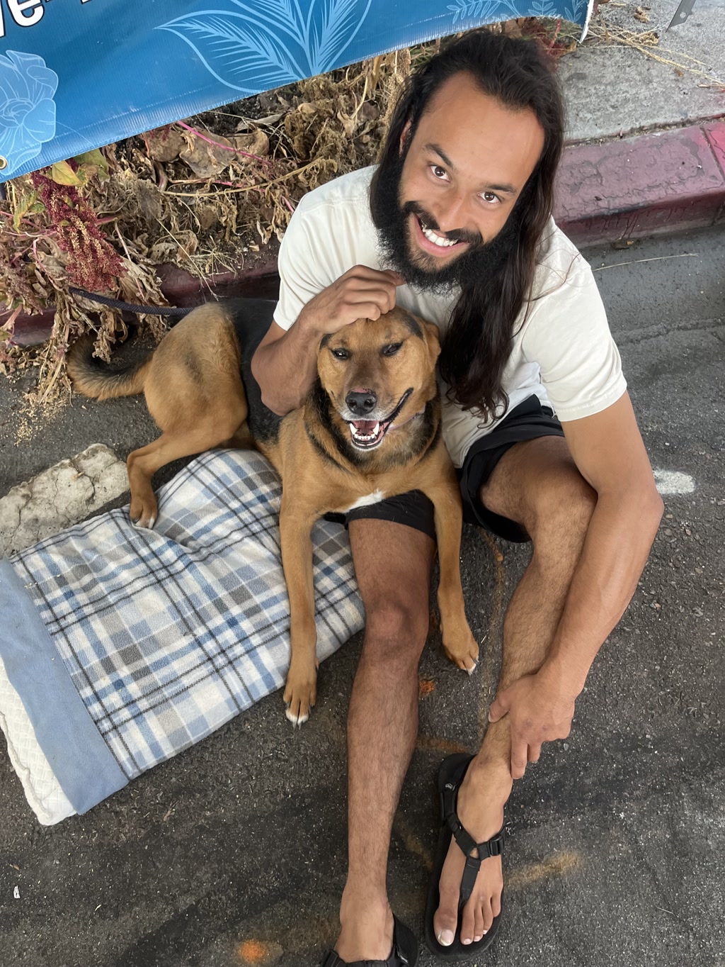 This captures a joyful moment between a man and a dog. The man, with long hair and a beard, is sitting on the ground, leaning against a blue banner with floral designs. He's wearing a light-colored T-shirt, black shorts, and open-toed sandals. The dog, named Moose, has a shiny coat and appears to be a mid-sized, tan-colored dog with a large, open-mouthed grin, possibly indicating happiness or excitement. Moose is comfortably laying across the man's lap, who is gently petting him on the head. Both human and canine seem to be enjoying each other's company immensely.