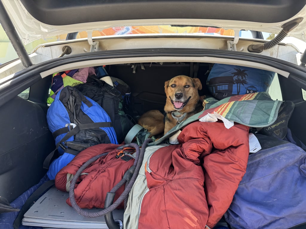 The trunk of a car is packed full with various items, including colorful sleeping bags, a blue backpack, a red insulated sleeping pad, and other camping gear. Amidst the snugly packed items, there's a content-looking dog sitting comfortably, seemingly unfazed by the cramped surroundings. The dog has a tan coat with a black muzzle and is wearing a collar. He appears relaxed and happy.