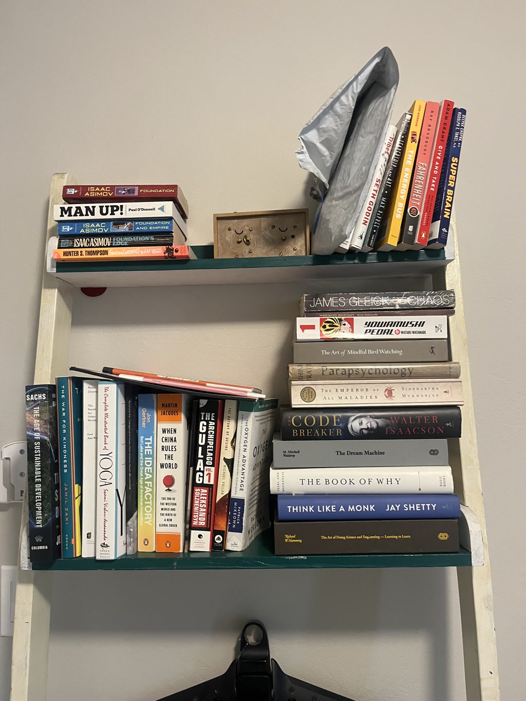 A bookshelf with three shelves, each packed with various books. The top shelf features mixed orientation of books with titles clearly visible, including works by Isaac Asimov among other authors, and a padded mailing envelope leaning against the books. Below, the middle shelf houses more neatly arranged books with visible spines showing diverse subjects and authors alongside a wooden block with metal pegs, potentially a puzzle or decoration. The bottom shelf hosts vertically aligned books adjacent to other items and another book laying flat with a red cover, possibly a journal. The shelves seem to be in a home or personal office setting.