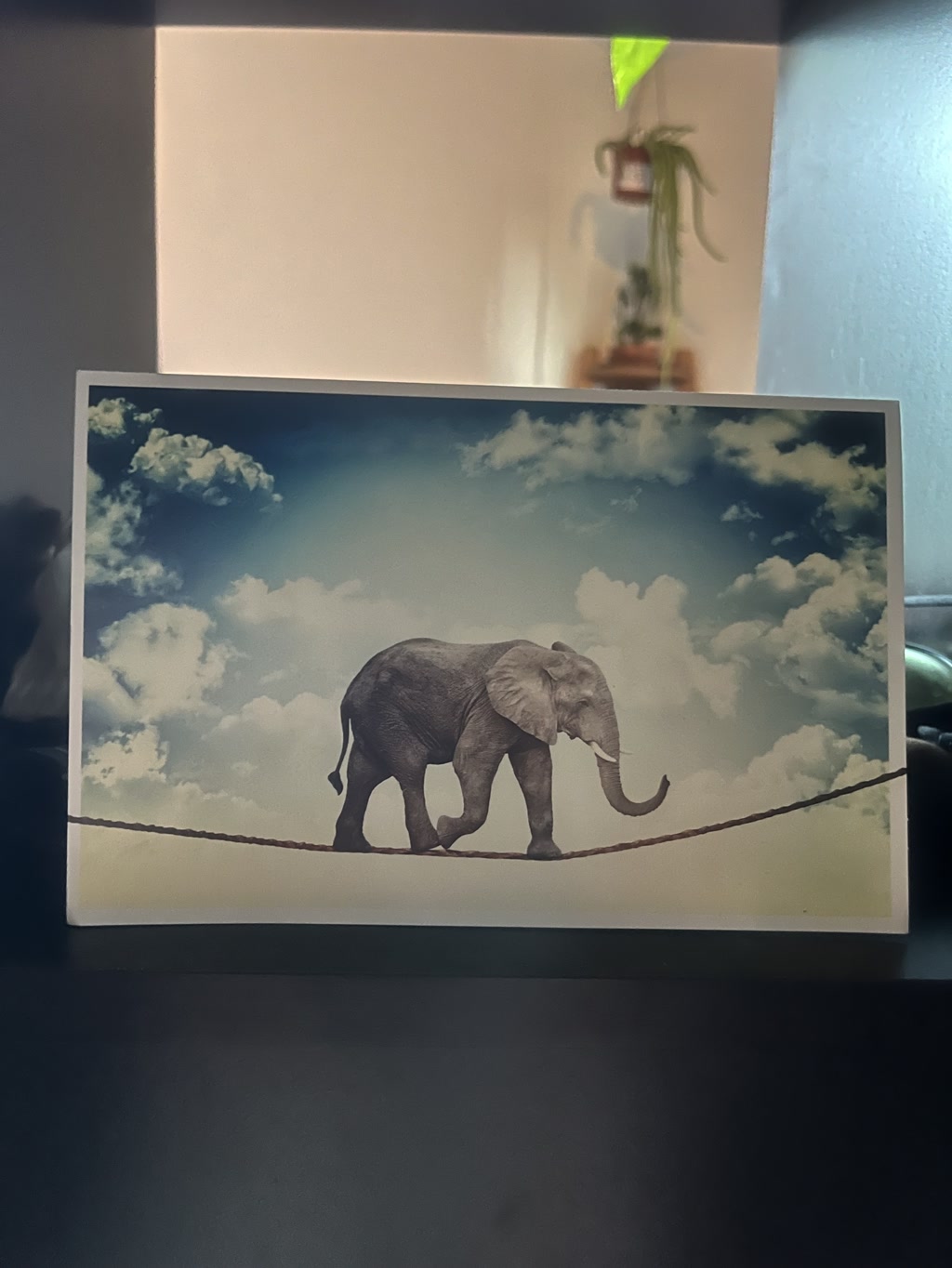 A greeting card displays a surreal scene where an elephant balances on a slack line high in the sky, surrounded by fluffy, white clouds against a blue backdrop. The elephant appears calm and steady as it carefully makes its way across the thin rope with a scenic view of the sky enveloping the grand creature.