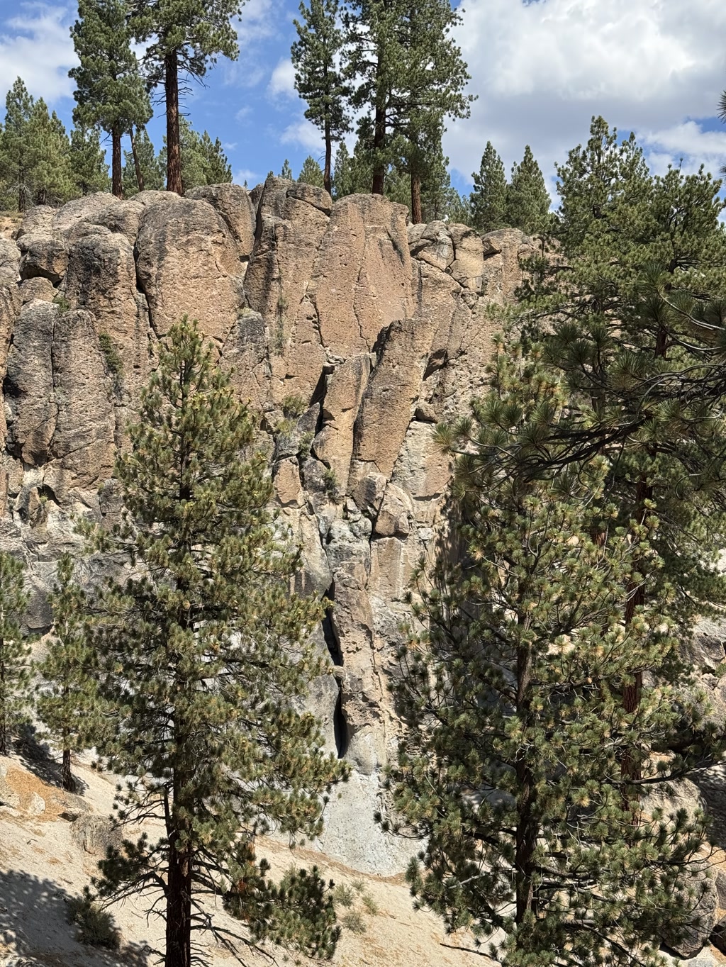 A rocky cliff face with vertical stratification, standing prominently amidst a forested area. Tall pine trees dominate the foreground and crest of the cliff, showcasing a variety of green hues against the solid, earthen tones of the rock. No visible sky or human-made structures are present, suggesting a natural, undeveloped setting. The scene evokes a sense of ruggedness and the tranquil beauty of a highland area.